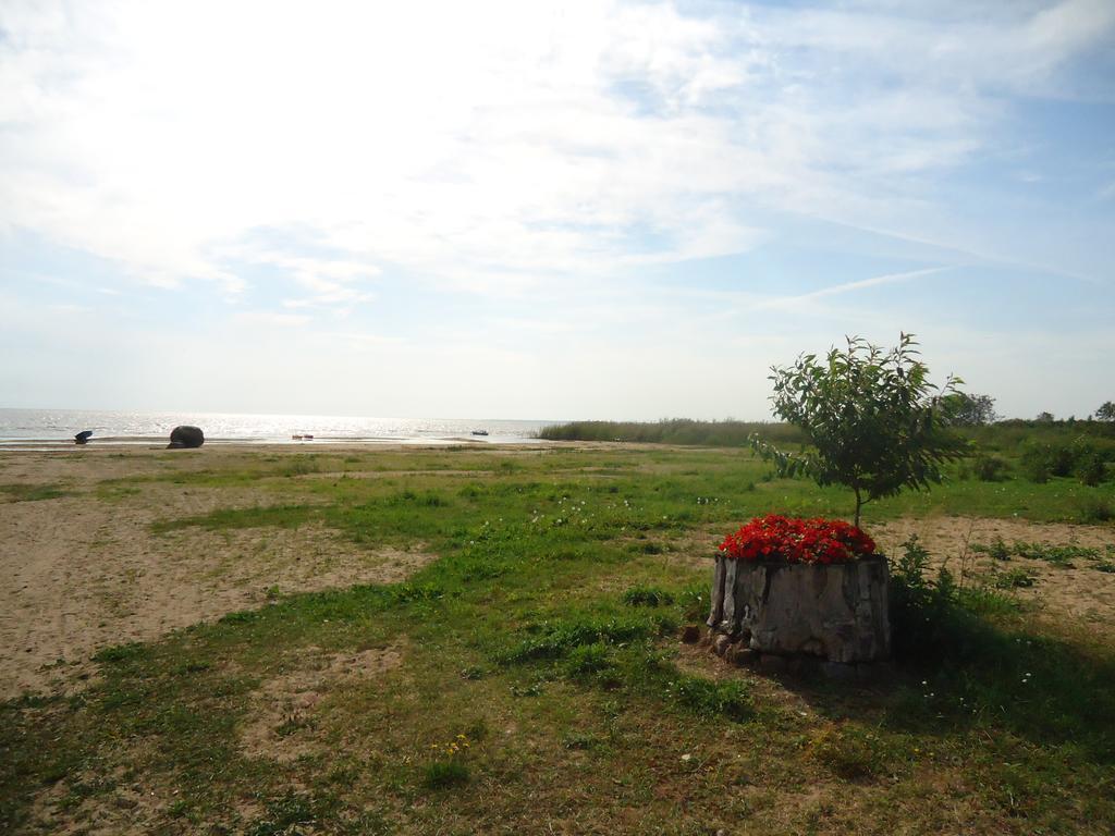 Paeevatalu Camping Hotel Vilusi Exterior photo